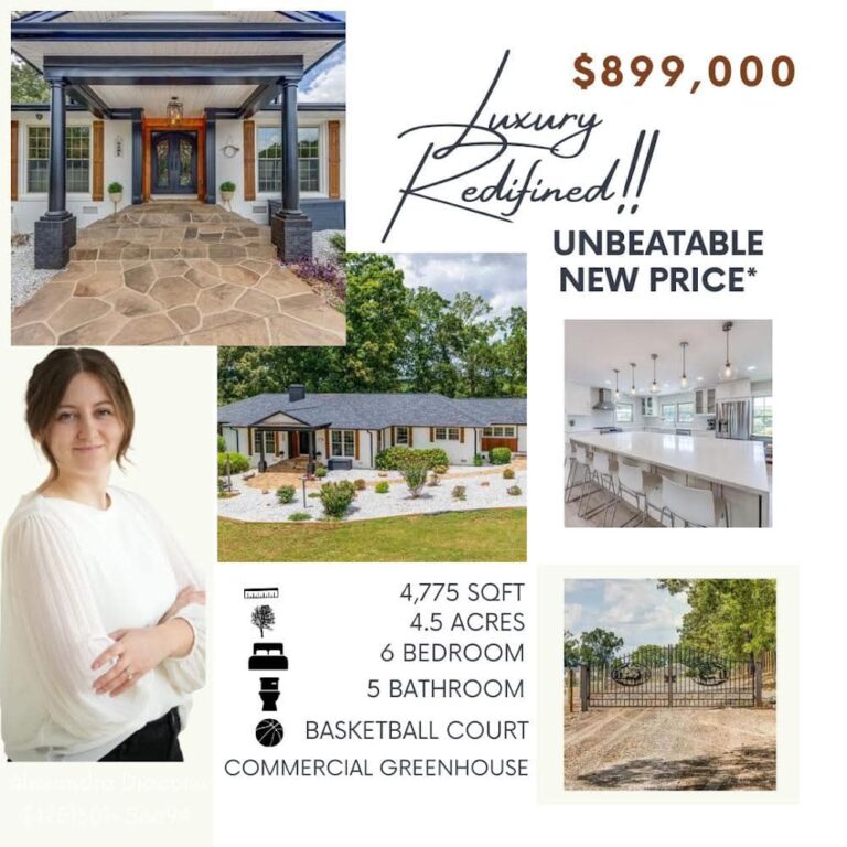 Alexandra Diaconu Real Estate listing 1 768x768