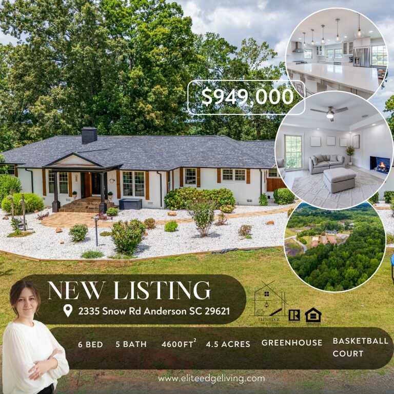 Alexandra Diaconu Real Estate listing 3 768x768